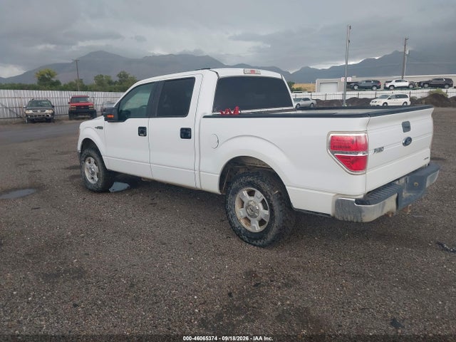 Aukcja sprzedaży 2013 Ford F-150 Xlt, vin: 1FTFW1EFXDFA79773, numer aukcji: 46065374