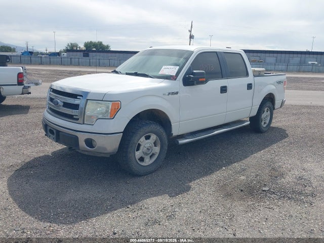 1FTFW1EF0EFC15863 Ford F-150 Xlt