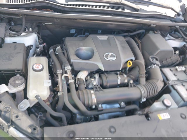 Продаж на аукціоні авто 2021 Lexus Nx 300, vin: JTJDARBZ7M5034554, номер лоту: 46065863