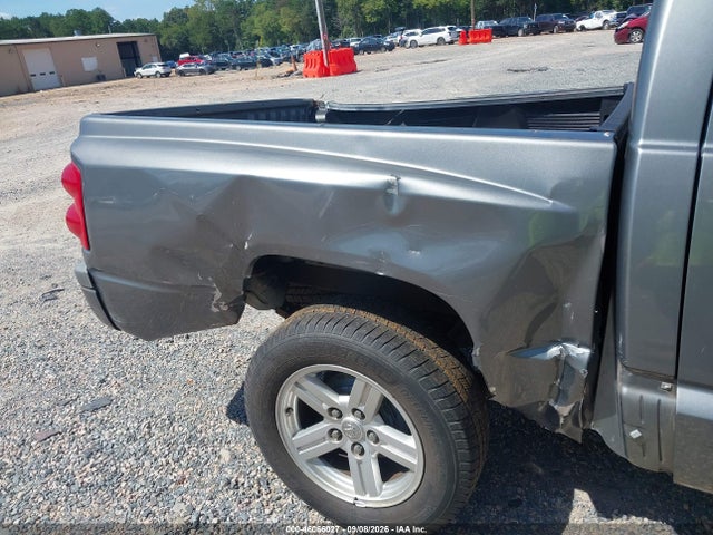 46066027 :رقم المزاد ، 1D7CE3GP2AS119098 vin ، 2010 Dodge Dakota Bighorn/lonestar مزاد بيع
