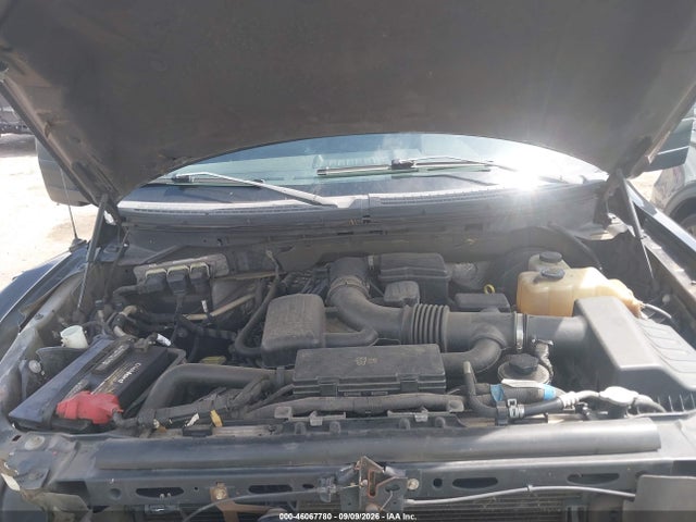 46067780 :رقم المزاد ، 1FTPW14V99KB33379 vin ، 2009 Ford F-150 Fx4/king Ranch/lariat/platinum/xl/xlt مزاد بيع