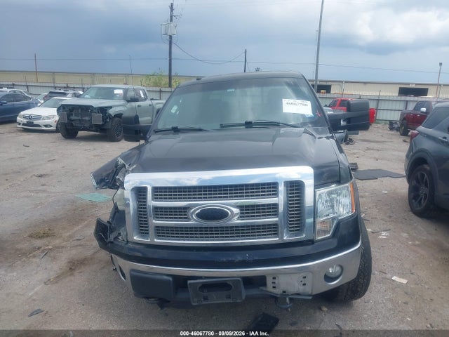 46067780 :رقم المزاد ، 1FTPW14V99KB33379 vin ، 2009 Ford F-150 Fx4/king Ranch/lariat/platinum/xl/xlt مزاد بيع