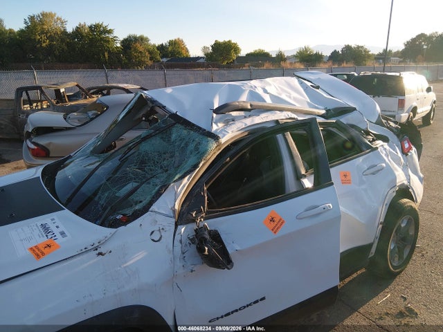 Jeep Cherokee Trailhawk 4x4 2019 1C4PJMBXXKD228516 Image 6
