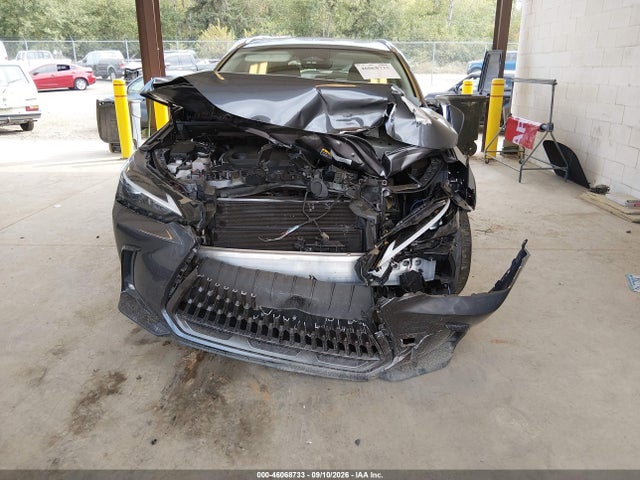 46068733 :رقم المزاد ، JTJAKCEZ7R5009332 vin ، 2024 Lexus Nx 350h مزاد بيع