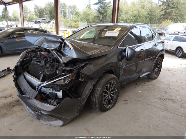 46068733 :رقم المزاد ، JTJAKCEZ7R5009332 vin ، 2024 Lexus Nx 350h مزاد بيع