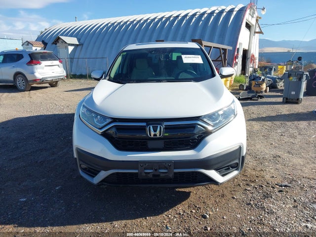 Продаж на аукціоні авто 2020 Honda Cr-v Awd Ex, vin: 5J6RW2H57LL022494, номер лоту: 46069869