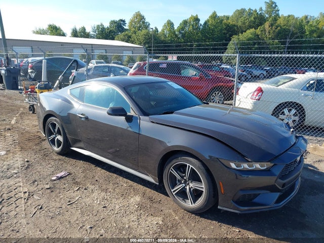 Продаж на аукціоні авто 2024 Ford Mustang Ecoboost Fastback, vin: 1FA6P8TH8R5110709, номер лоту: 46070211