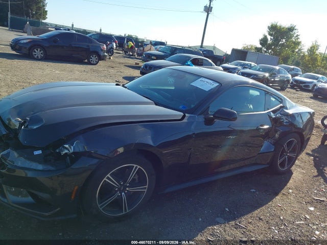 Продаж на аукціоні авто 2024 Ford Mustang Ecoboost Fastback, vin: 1FA6P8TH8R5110709, номер лоту: 46070211