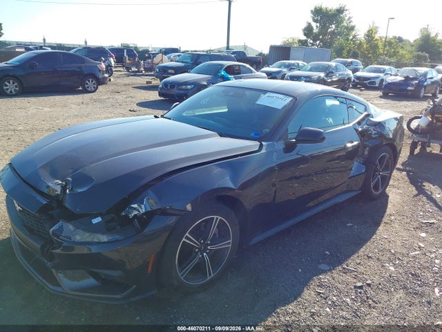 Продаж на аукціоні авто 2024 Ford Mustang Ecoboost Fastback, vin: 1FA6P8TH8R5110709, номер лоту: 46070211