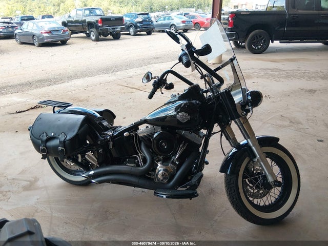 Harley-Davidson Fls Softail Slim 2014 1HD1JRV18EB046516 Image 12