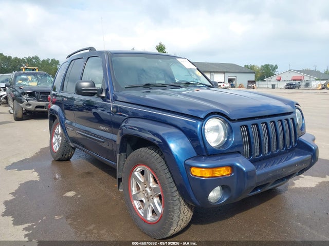 2004 Jeep Liberty Limited Edition მანქანა იყიდება აუქციონზე, vin: 1J4GL58KX4W125898, აუქციონის ნომერი: 46070692