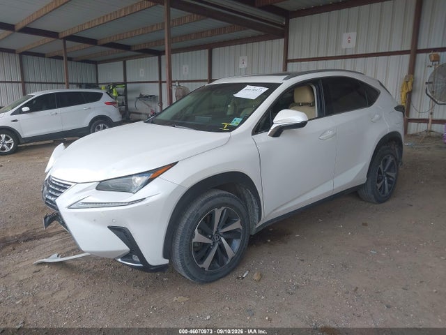 Продаж на аукціоні авто 2018 Lexus Nx 300, vin: JTJYARBZ2J2087631, номер лоту: 46070973