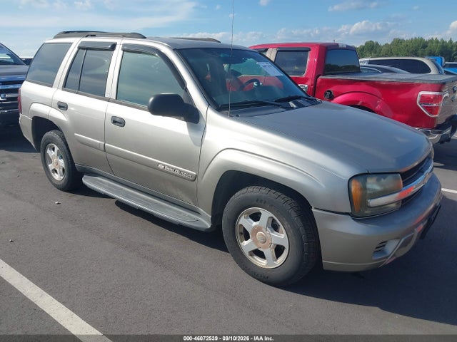 Auction sale of the 2002 Chevrolet Trailblazer Ls, vin: 1GNDS13SX22215284, lot number: 46072539