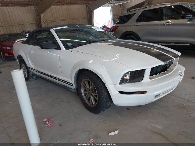 Продаж на аукціоні авто 2005 Ford Mustang, vin: 1ZVFT84N855247361, номер лоту: 46072572