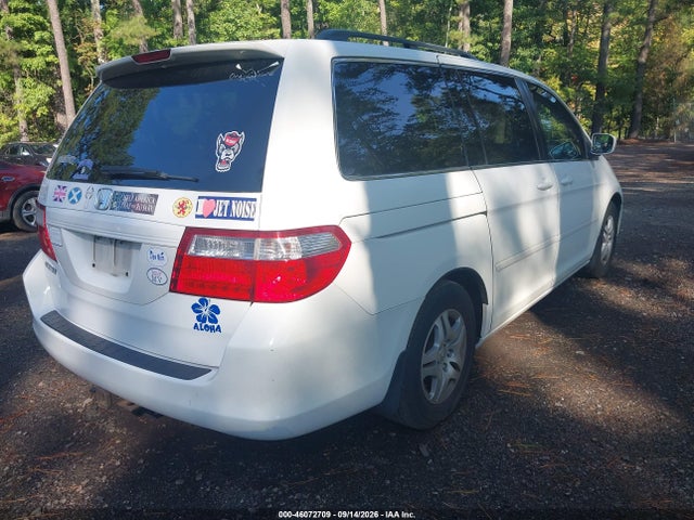 46072709 :رقم المزاد ، 5FNRL38627B450625 vin ، 2007 Honda Odyssey Ex-l مزاد بيع