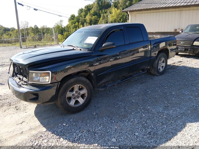 46073951 :رقم المزاد ، 1D7RW3GK8BS606450 vin ، 2011 Ram Dakota Bighorn/lonestar مزاد بيع