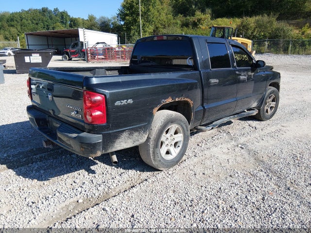 46073951 :رقم المزاد ، 1D7RW3GK8BS606450 vin ، 2011 Ram Dakota Bighorn/lonestar مزاد بيع