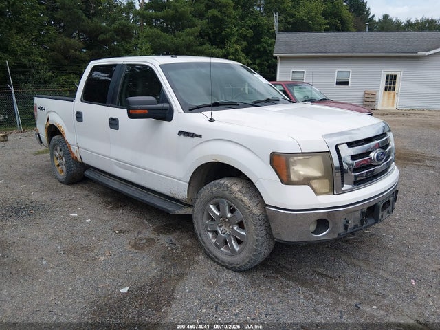 2010 Ford F-150 Fx4/harley-davidson/king Ranch/lariat/platinum/xl/xlt მანქანა იყიდება აუქციონზე, vin: 1FTFW1EV1AFD76191, აუქციონის ნომერი: 46074041