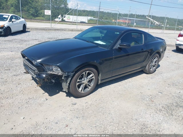 Ford Mustang V6 Premium 2014 1ZVBP8AM2E5286834 Image 2