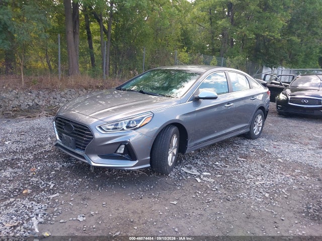 46074484 :رقم المزاد ، 5NPE24AF1KH790117 vin ، 2019 Hyundai Sonata Se مزاد بيع