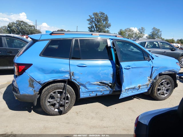 5FNYF8H69RB017483 Honda Passport Awd Trailsport