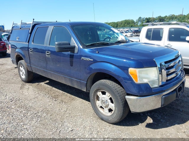 Продаж на аукціоні авто 2009 Ford F-150 King Ranch/lariat/platinum/xl/xlt, vin: 1FTPW12V59FA31184, номер лоту: 46075325