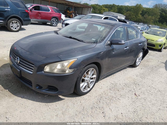2009 Nissan Maxima 3.5 Sv მანქანა იყიდება აუქციონზე, vin: 1N4AA51E59C843041, აუქციონის ნომერი: 46075425