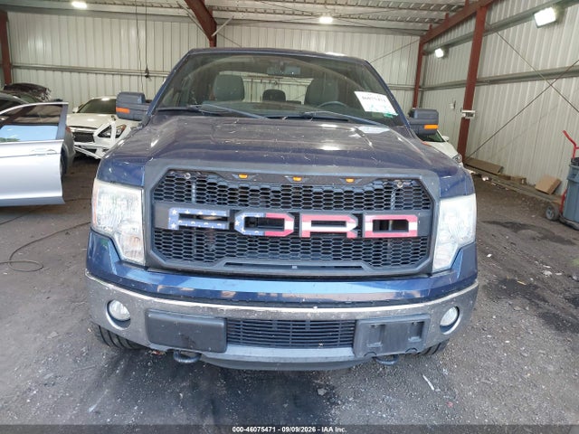 2011 Ford F-150 Xlt მანქანა იყიდება აუქციონზე, vin: 1FTFX1ET7BFB65543, აუქციონის ნომერი: 46075471