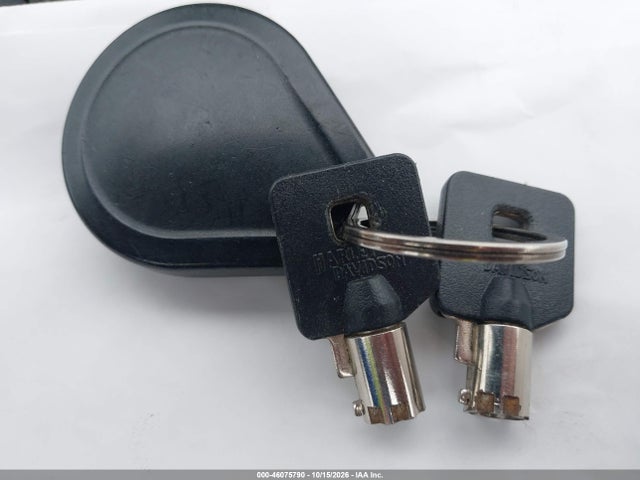 Harley-Davidson FLTRXS 2020 1HD1KTP19LB662827 Image 11