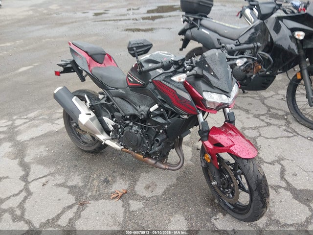 2019 JKAERKD1XKDA47734 главное изображение
