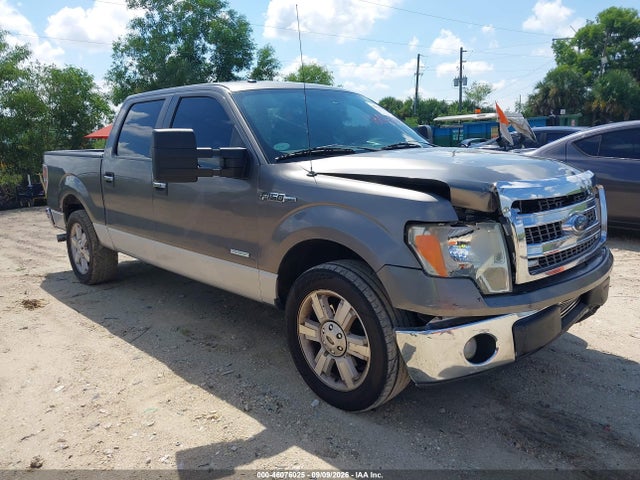 46076025 :رقم المزاد ، 1FTFW1CT9DFA11537 vin ، 2013 Ford F-150 Xlt مزاد بيع