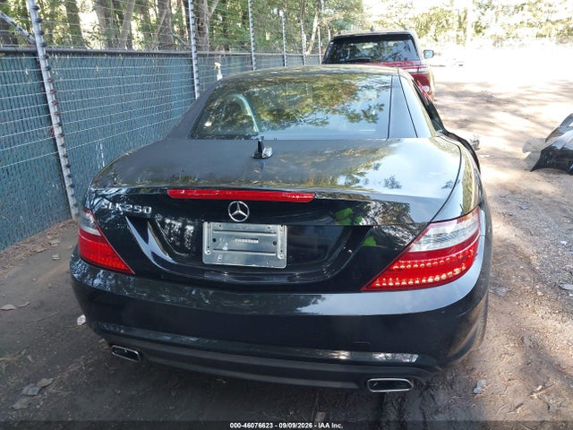 46076623 :رقم المزاد ، WDDPK4HA4EF092222 vin ، 2014 Mercedes-benz Slk 250 مزاد بيع