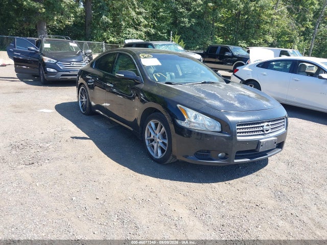 Продажа на аукционе авто 2010 Nissan Maxima 3.5 Sv, vin: 1N4AA5AP5AC828366, номер лота: 46077345