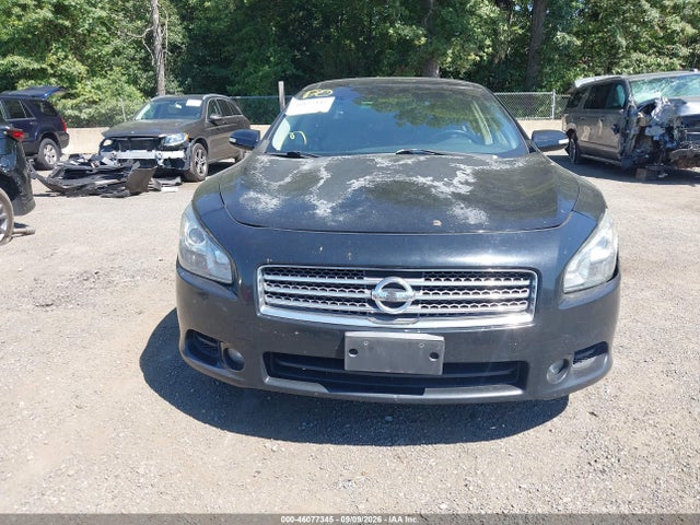 Продажа на аукционе авто 2010 Nissan Maxima 3.5 Sv, vin: 1N4AA5AP5AC828366, номер лота: 46077345
