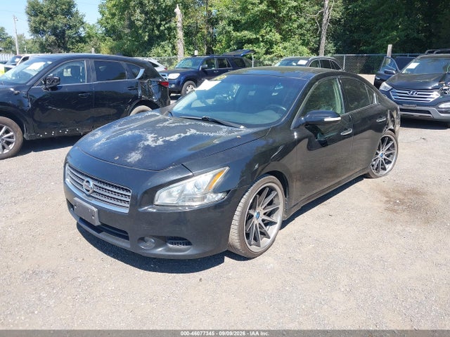 Продажа на аукционе авто 2010 Nissan Maxima 3.5 Sv, vin: 1N4AA5AP5AC828366, номер лота: 46077345