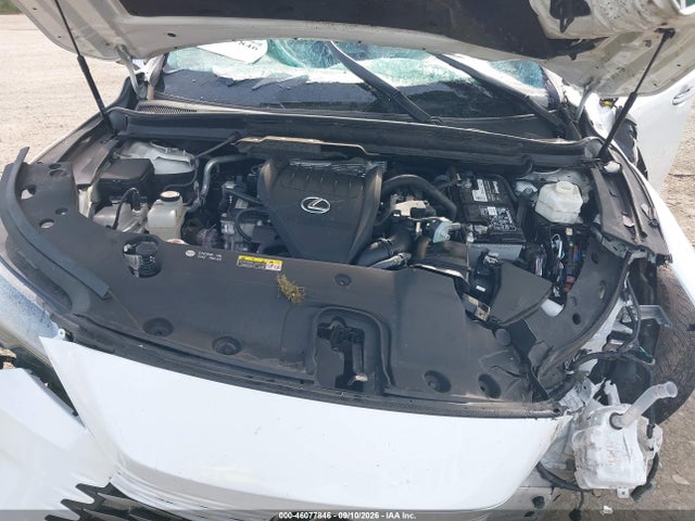 46077846 :رقم المزاد ، 2T2BAMCA8RC042559 vin ، 2024 Lexus Rx 350 Luxury مزاد بيع