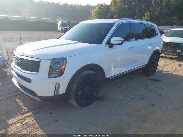 2022 Kia Telluride S მანქანა იყიდება აუქციონზე, vin: 5XYP6DHC7NG245706, აუქციონის ნომერი: 46077853