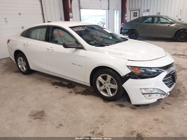 46077938 :رقم المزاد ، 1G1ZB5ST7LF029124 vin ، 2020 Chevrolet Malibu Fwd Ls مزاد بيع