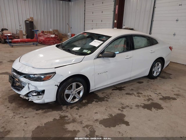 46077938 :رقم المزاد ، 1G1ZB5ST7LF029124 vin ، 2020 Chevrolet Malibu Fwd Ls مزاد بيع