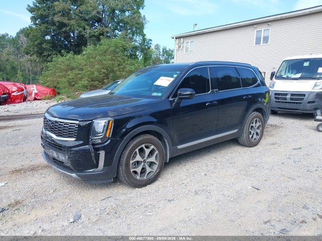 46077980 :رقم المزاد ، 5XYP3DHC4LG038227 vin ، 2020 Kia Telluride Ex مزاد بيع