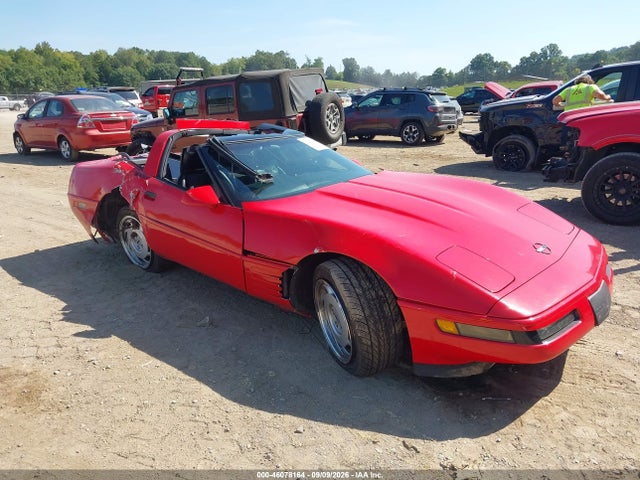 Продаж на аукціоні авто 1992 Chevrolet Corvette, vin: 1G1YY23P1N5108775, номер лоту: 46078164