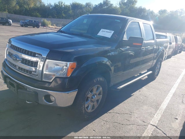 1FTFW1EF3EKF99628 Ford F-150 Xlt
