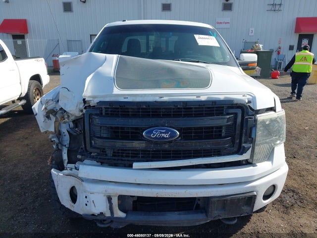 46080137 :رقم المزاد ، 1FTFW1ET2DFD35622 vin ، 2013 Ford F-150 Fx4 مزاد بيع