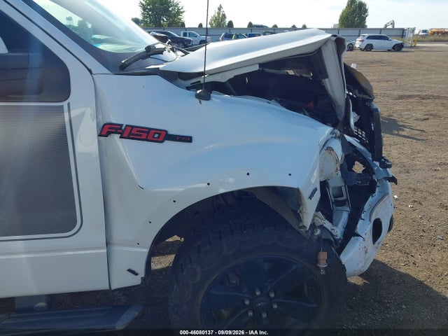 46080137 :رقم المزاد ، 1FTFW1ET2DFD35622 vin ، 2013 Ford F-150 Fx4 مزاد بيع