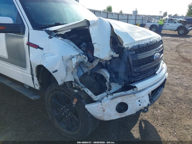 46080137 :رقم المزاد ، 1FTFW1ET2DFD35622 vin ، 2013 Ford F-150 Fx4 مزاد بيع