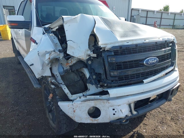 46080137 :رقم المزاد ، 1FTFW1ET2DFD35622 vin ، 2013 Ford F-150 Fx4 مزاد بيع