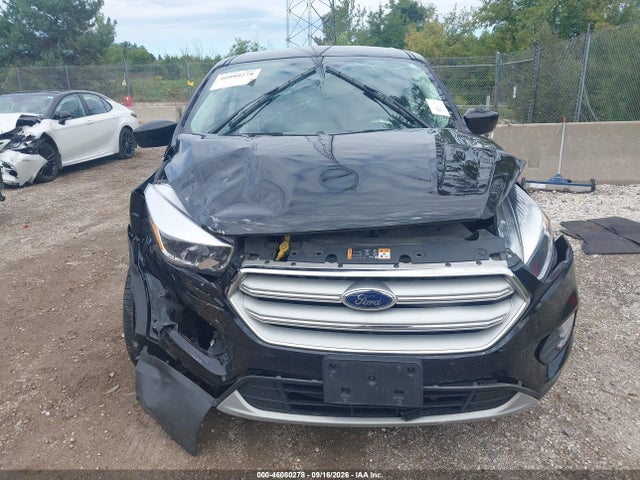 46080278 :رقم المزاد ، 1FMCU0GD5KUB22306 vin ، 2019 Ford Escape Se مزاد بيع