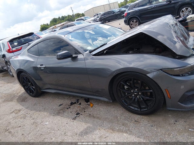 Продаж на аукціоні авто 2024 Ford Mustang Ecoboost Fastback, vin: 1FA6P8TH2R5143530, номер лоту: 46081866