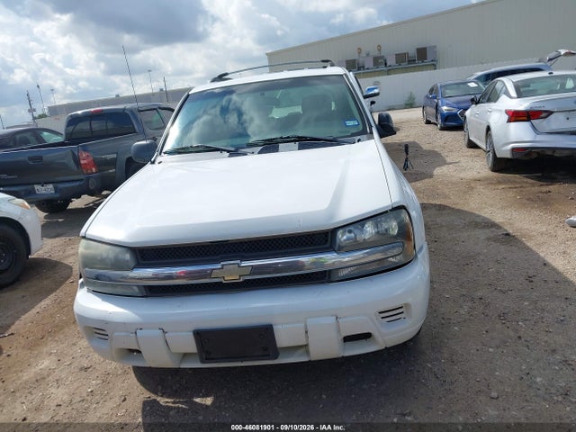 46081901 :رقم المزاد ، 1GNDS13S422485983 vin ، 2002 Chevrolet Trailblazer Ls مزاد بيع