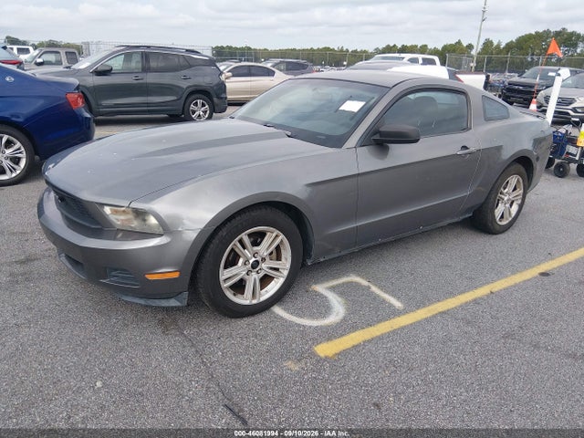 46081994 :رقم المزاد ، 1ZVBP8AN1A5106312 vin ، 2010 Ford Mustang V6/v6 Premium مزاد بيع